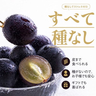 譏滉ケ繝斐が繝シ繝 3謌ソ縲5謌ソ(2kg莉・荳)縲宣埼∽ク榊庄蝨ー蝓滂シ夐屬蟲カ縲代1740015縲