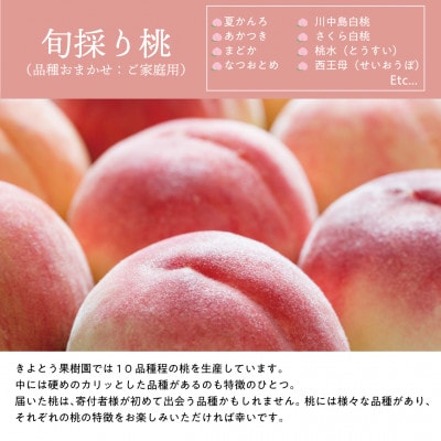 【発送月固定定期便】【2026年先行予約】桃、ピオーネ、シャインマスカットの満足便(岡山県産)全3回【配送不可地域：離島】【4078998】