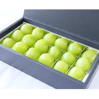 【11月-3月発送】氷温貯蔵マスカット冬姫(18粒)【配送不可地域：離島】【1569585】