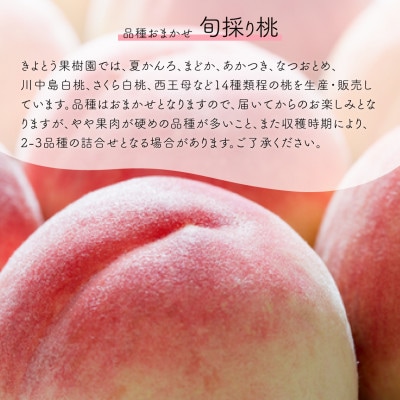 【発送月固定定期便】【2026年先行予約】桃とシャインマスカット どっちも食べたい便(岡山産)全2回【配送不可地域：離島】【4071129】