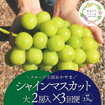 【発送月固定定期便】【2026年先行予約】シャインマスカットを楽しむ満足便/全便計3.9kg〜全3回【配送不可地域：離島】【4065362】