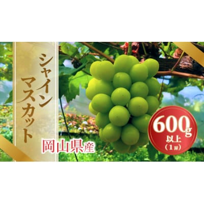《2026年発送》岡山県産シャインマスカット 600g以上1房入【配送不可地域：離島・北海道・沖縄県】【1736764】