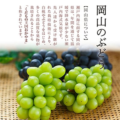 【先行受付】岡山県産　ニューピオーネ4房(1房480g以上・合計約2kg)【配送不可地域：離島・北海道・沖縄県】【1281357】