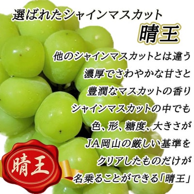 【2026年8月下旬以降順次発送】岡山名産【晴王】シャインマスカット1房約650g秀品!【配送不可地域：離島】【1612175】