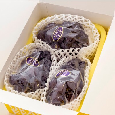 【2026年発送】ご家庭用　岡山県産オーロラブラック(クール便)　約1.2kg(2〜3房)【配送不可地域：離島】【1614325】