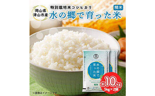 ＜岡山県津山市加茂町産＞水の郷で育った米10kg(特別栽培米コシヒカリ) TY0-0635