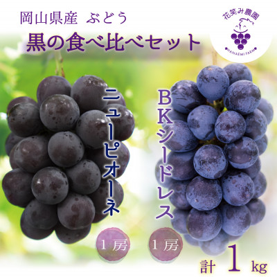 【2026年先行受付】岡山　花笑み農園の『ニューピオーネ&BKシードレス』1kg(2房)PB-1【配送不可地域：離島・北海道・沖縄県】【1627765】