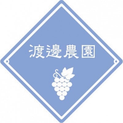 【先行予約 2026年発送】岡山県産　アントシアニン豊富な　ブラックビート　2房(合計約1kg)【配送不可地域：離島】【1562213】