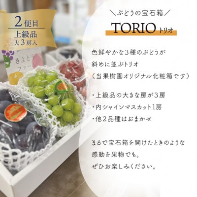 ãçºéæåºå®å®æäŸ¿ãã2026幎å
è¡äºçŽãå²¡å±±ã®æ¡ãã¶ã©ããæ¢šãç£å°çŽé!å€åçš®ãæ¥œããå®æäŸ¿å
š3åãé
éäžå¯å°åïŒé¢å³¶ã»åæµ·éã»æ²çžçãã4066247ã