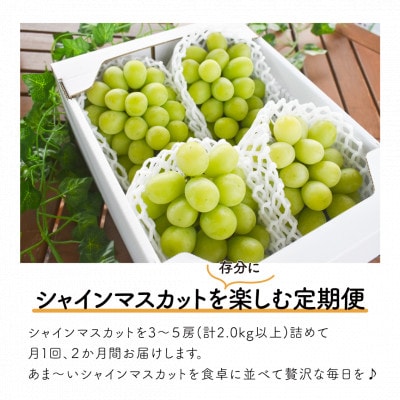 【発送月固定定期便】【2026年先行予約】シャインマスカットを楽しむ満足便/全便計4.0kg〜全2回【配送不可地域：離島】【4065363】