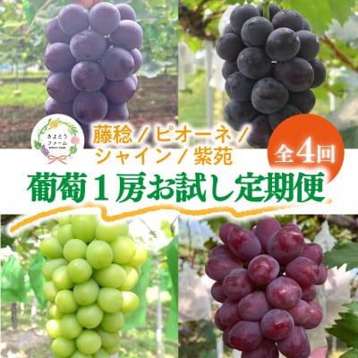 ãçºéæåºå®å®æäŸ¿ãã2026幎å
è¡äºçŽãã詊ã4å䟿è€çšã»ããªãŒãã»ã·ã£ã€ã³ã»çŽ«è /岡山ç£å
š4åãé
éäžå¯å°åïŒé¢å³¶ãã4077861ã