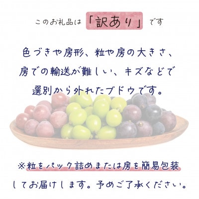 岡山　花笑み農園のブドウ『訳あり3種以上MIX』1kg　W3M-1【配送不可地域：離島・北海道・沖縄県】【1627779】