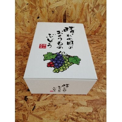 先行予約　岡山産　完熟ピオーネ　4〜5房　2キロ以上【配送不可地域：離島】【1712303】