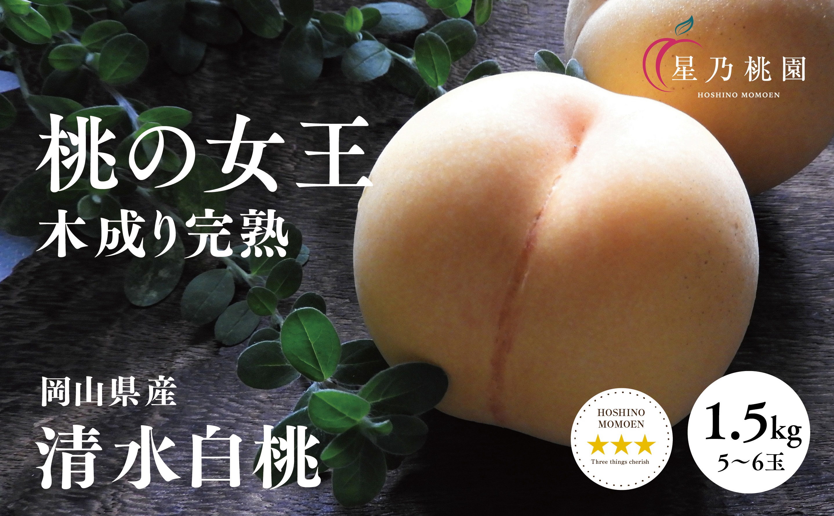 先行受付【清水白桃】岡山県産 三つ星 星乃桃園 1.5kg (5〜6玉)【配送不可地域：離島・北海道・沖縄県】【1614285】