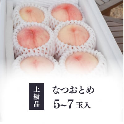 ä¹å¥³ã®ãããªå¯æãããšçãã®æ¡ããªã€ããšããäžçŽå 5-7ç (岡山çç£)ãé
éäžå¯å°åïŒé¢å³¶ãã1571600ã