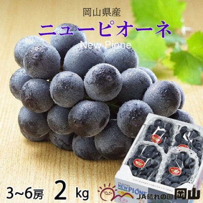 【2026年6月下旬より順次発送】岡山県産 ニューピオーネ 2kg(3房〜6房)【配送不可地域：離島・北海道・沖縄県】【1308149】