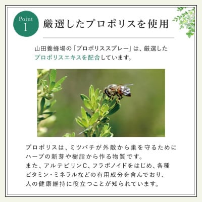 ããããªã¹ã¹ãã¬ãŒ(11104)ã1107984ã