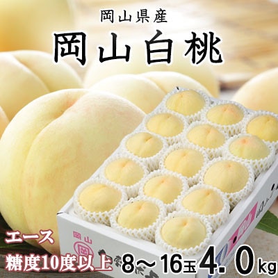 【先行受付】岡山白桃 エース 8〜16玉 4.0kg 岡山県産【配送不可地域：離島・北海道・沖縄県】【1424434】