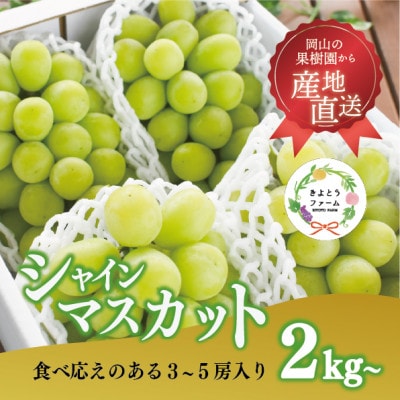 【2026年先行予約】シャインマスカット3-5房/計2kg〜(岡山県産)【配送不可地域：離島】【1548980】