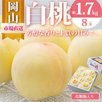 【先行受付】岡山県産　白桃8玉(1.7kg以上)　化粧箱入り【配送不可地域：離島・北海道・沖縄県】【1281363】