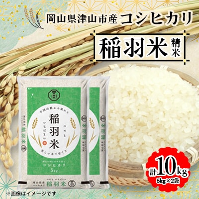 【岡山県津山市産】稲羽米10kg(コシヒカリ)【1352219】