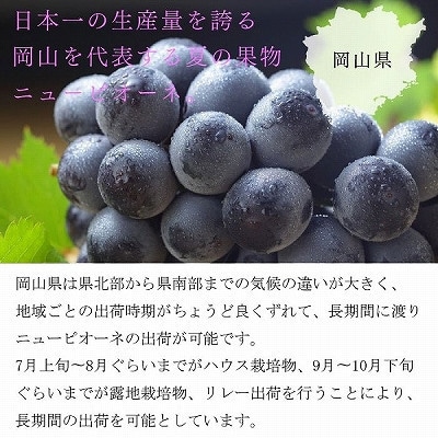 ã2026幎8æããçºéããå®¶åºçšã岡山çç£ãããªãŒãã2kg(3ã6æ¿)ãé
éäžå¯å°åïŒé¢å³¶ã»åæµ·éã»æ²çžçãã1409719ã