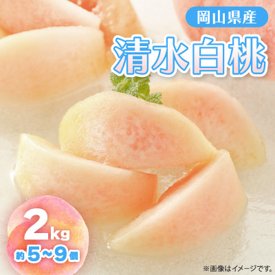 【2026年先行予約】2026年7月下旬頃より発送予定・岡山の白桃・清水白桃(2kg箱)【配送不可地域：離島】【1484602】