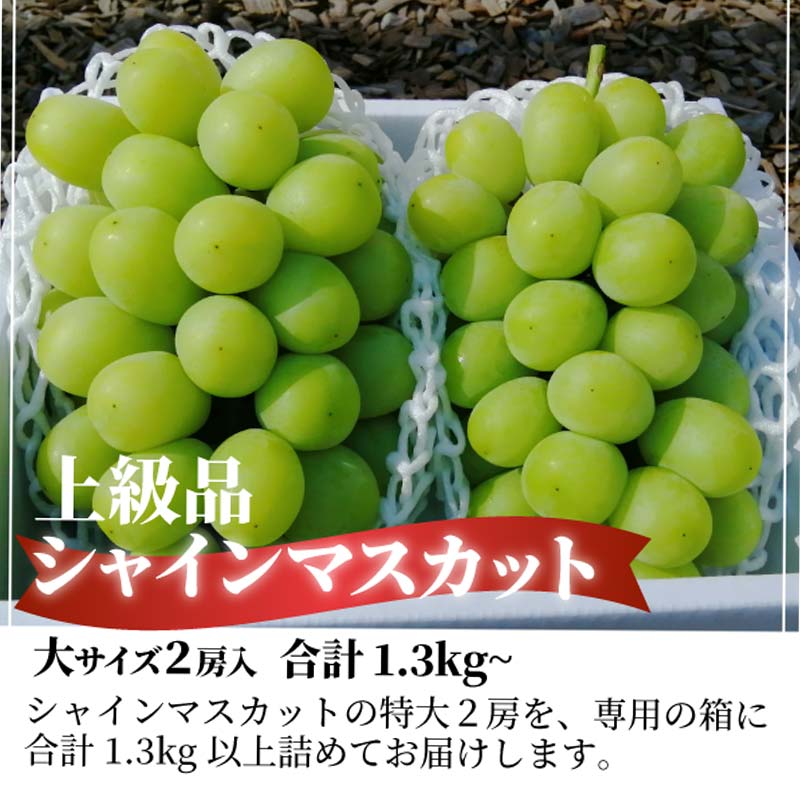 岡山県産 数量限定!こだわりのシャインマスカット 大サイズ2房入 マスカット ぶどう ブドウ 葡萄 デザート フルーツ 果物 くだもの 果実 食品 TY0-0809