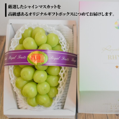 【2026年先行予約】【厳選品】大粒シャインマスカット1房/700g以上(岡山県産)【配送不可地域：離島】【1548995】