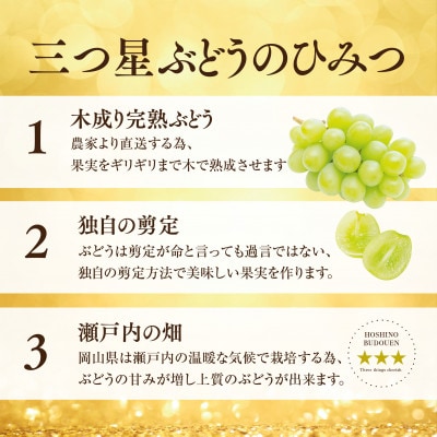 蜈郁。悟女莉倥蝉ク峨▽譏溘カ縺ゥ縺縲第弌荵繧キ繝」繧、繝ウ繝槭せ繧ォ繝繝 (3謌ソ縲4謌ソ 1.8kg莉・荳) 蟯。螻ア逵檎肇縲宣埼∽ク榊庄蝨ー蝓滂シ夐屬蟲カ繝サ蛹玲オキ驕薙サ豐也ク逵後代1746009縲