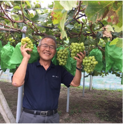 SUMU シャインマスカット・オータムハーベスト 2022(375ml)【1699805】