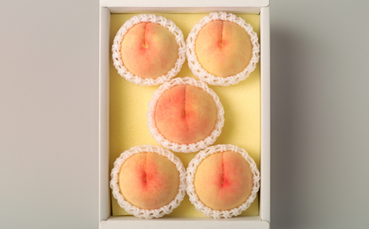 ◆先行受付◆　岡山県産　岡山白桃5〜7玉(2)　2026年発送【配送不可地域：離島・北海道・沖縄県】【1349775】