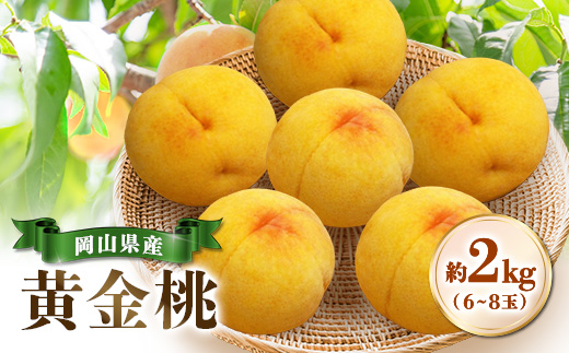【先行受付|8月下旬頃より順次発送】岡山県産『黄金桃』　約2kg(6~8玉)【配送不可地域：離島・北海道・沖縄県】【1726917】