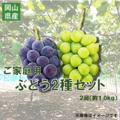 【2026年10月上旬〜順次発送】訳ありシャインマスカットとピオーネ詰合せ 2房 1kg ご家庭用【1740141】
