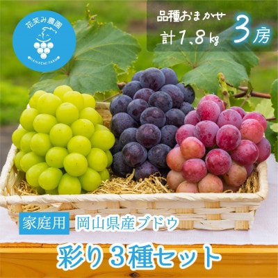 【2026年先行受付】岡山　花笑み農園のブドウ『彩り3種セット』家庭用　1.8kg(3房)3M-2家【配送不可地域：離島】【1695389】