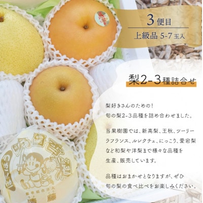 ãçºéæåºå®å®æäŸ¿ãã2026幎å
è¡äºçŽãå²¡å±±ã®æ¡ãã¶ã©ããæ¢šãç£å°çŽé!å€åçš®ãæ¥œããå®æäŸ¿å
š3åãé
éäžå¯å°åïŒé¢å³¶ã»åæµ·éã»æ²çžçãã4066247ã