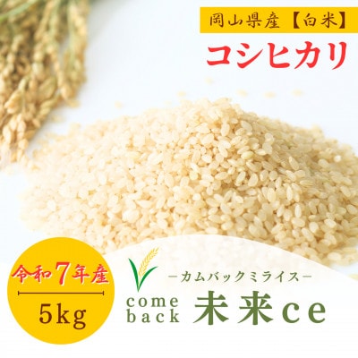 2025年新米【コシヒカリ 白米5kg】|-comeback未来ce-【1702352】