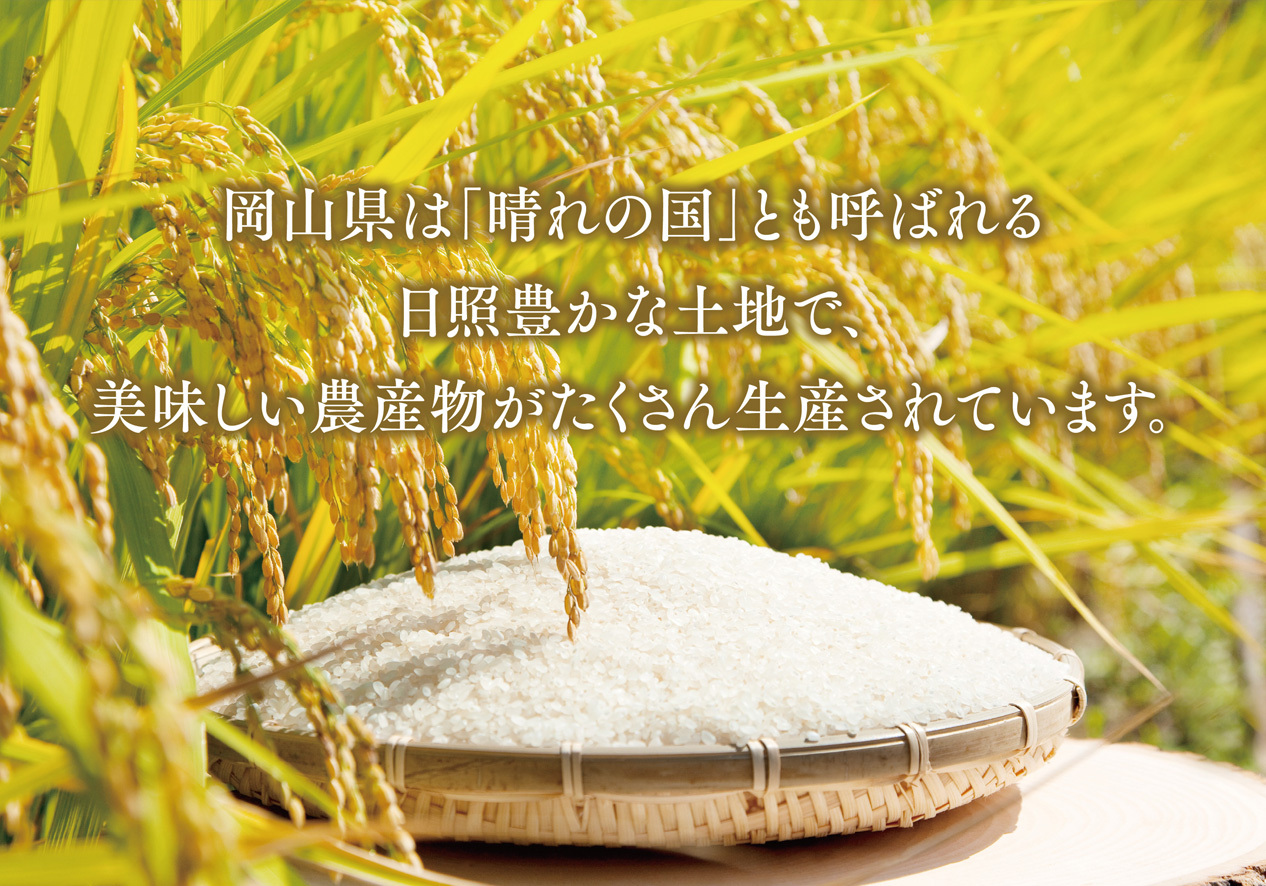 ãããããç±³(5kg)ç¡æŽç±³ããªããŒã¿ãŒç¶åºã1647875ã