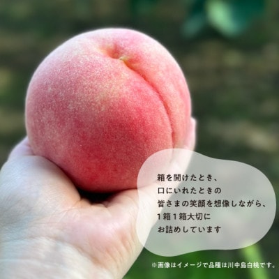 【2026年先行予約】上品な肉質 まどか 白桃 上級品 5-7玉入(岡山県産)【配送不可地域：離島】【1571597】