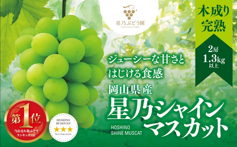 先行受付【三つ星ブランド】星乃シャインマスカット 数量限定 (岡山県産)2房(1.3kg以上)【配送不可地域：離島・北海道・沖縄県】【1418979】