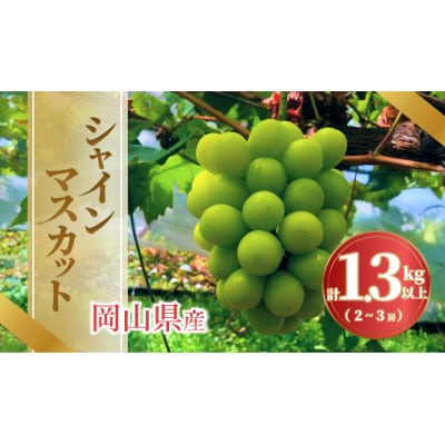 《2026年発送》岡山県産 シャインマスカット 1.3kg以上 2〜3房【配送不可地域：離島・北海道・沖縄県】【1736765】