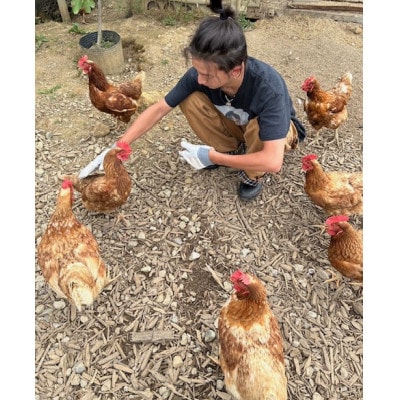 豢・螻ア蟶ら肇繝サ蟷ウ鬟シ縺蜊オ25蛟+蜑イ繧御ソ晁ィシ5蛟九1486349縲