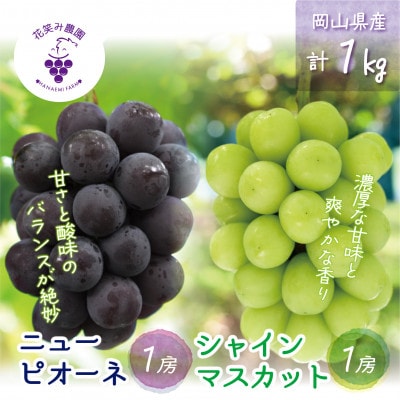 【2026年先行受付】岡山　花笑み農園の『ニューピオーネ&シャインマスカット』1kg(2房)PS-1【配送不可地域：離島・北海道・沖縄県】【1627783】