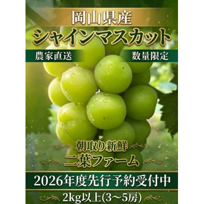 【2026年先行受付】岡山のぶどう(シャインマスカット)2kg(3〜5房)【配送不可地域：離島】【1617939】