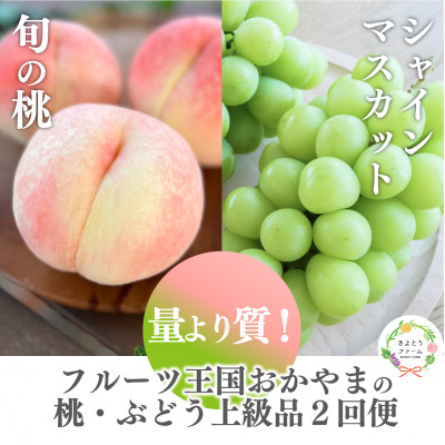 【発送月固定定期便】【2026年先行予約】桃とシャインマスカット どっちも食べたい便(岡山産)全2回【配送不可地域：離島・北海道・沖縄県】【4063160】