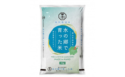 ＜岡山県津山市加茂町産＞水の郷で育った米5kg(特別栽培米コシヒカリ) TY0-0648