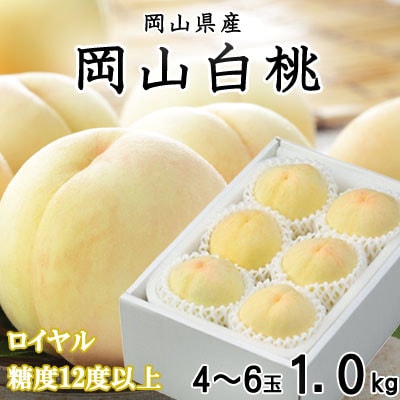 【先行受付】岡山白桃 ロイヤル 4〜6玉 1kg 岡山県産【配送不可地域：離島・北海道・沖縄県】【1301630】