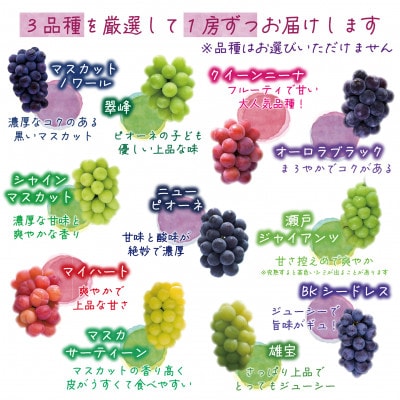 ã2026幎å
è¡åä»ã岡山ãè±ç¬ã¿èŸ²åã®ã10æãããã3çš®ãå®¶åºçšã1.8kg(3æ¿)3M-2Lå®¶ãé
éäžå¯å°åïŒé¢å³¶ãã1694423ã