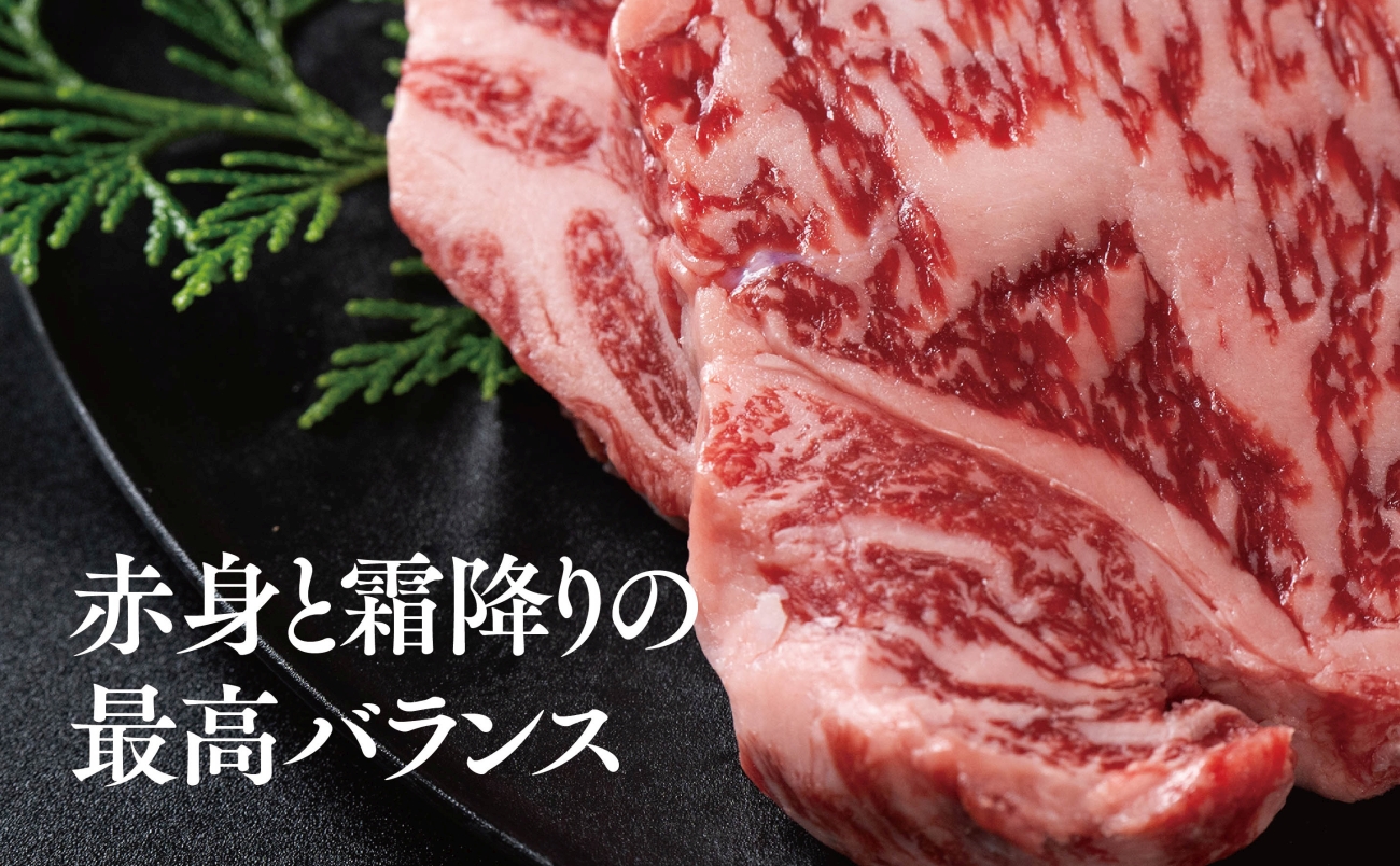 【将軍牛】特選ロースステーキ 500g【配送不可地域：離島・北海道・沖縄県】【1653402】