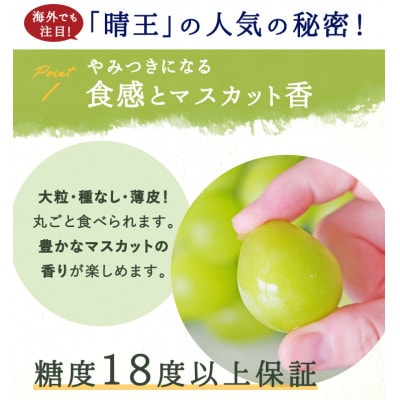 縲仙郁。悟女莉倥大イ。螻ア逵檎肇 繧キ繝」繧、繝ウ繝槭せ繧ォ繝繝医取匐邇九2謌ソ(1謌ソ480g莉・荳) 蛹也イァ邂ア蜈・繧翫宣埼∽ク榊庄蝨ー蝓滂シ夐屬蟲カ繝サ蛹玲オキ驕薙サ豐也ク逵後代1499104縲